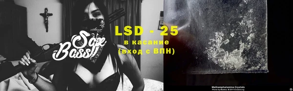 хмурый Верея