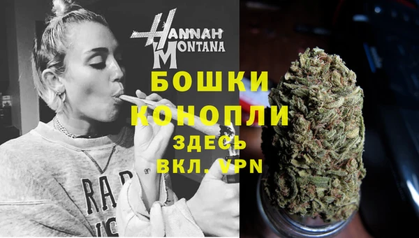 2c-b Бородино