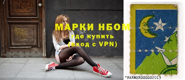 хмурый Верея