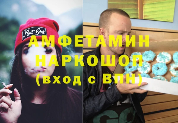 хмурый Верея