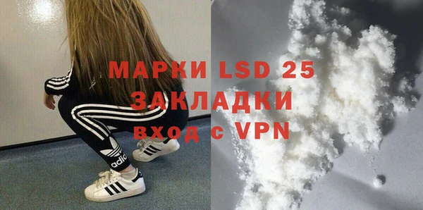 хмурый Верея